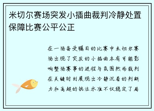 米切尔赛场突发小插曲裁判冷静处置保障比赛公平公正